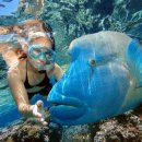 아이러브호주 이미지