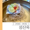 나성동_세종예술의전당 앞 | 세종 나성동 평양냉면 맛집 | 성산옥 예술의전당 내돈내산 솔직 후기