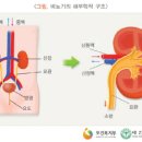 네이처비뇨의학과의원 네이버블로그