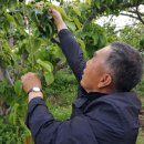 금월농장 이미지