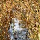 조각공원앞 1 이미지