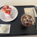 새절역1번출구 | [새절역 카페/내돈내산] 투썸플레이스 새절역점/생딸기 듬뿍 우유생크림 케이크 신메뉴 후기