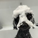 릴리리독 이미지