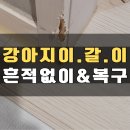 하부골 | 안방문 하부 걸레받이 문틀 수리 강아지 이갈이 흔적없이 시트지 원상 복구