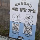 시민운동장(관리실) | 경남 김해 댕댕파크, 소형견 견주가 느낀 장단점 딱 정리해드림 !