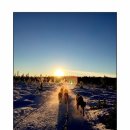 자연SCIENCE 이미지