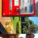소백의향기 | [2일차] 🇹🇼 Trip to taipei(단수이코스, 타이베이101 전망대)