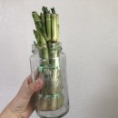 다이소안산일동점