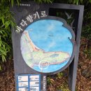 속초사잇길 제5길 | 속초 바다 산책로 추천 외옹치 바다향기로 둘레길