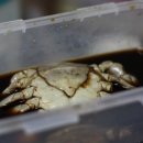 주문마트 이미지