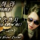 사하라(SAHARA) 이미지
