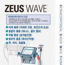 서라벌정형외과 이미지