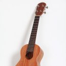 하와이 전통악기 우쿨렐레 이미지