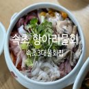 강원택시노동조합 | &lt;속초점심맛집&gt; 재방문하려고 속초여행 왔지 속초 항아리물회 후기