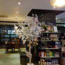썰티스플레이트