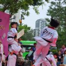 푸르매태권도 이미지