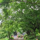블루에코바이러스솔루션 - 구미시 송동로7길 31-10 | 블루에코바이러스솔루션