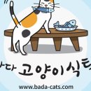 바다고양이식탁 이미지