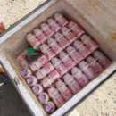 안녕하세요? 야쿠르트 아줌마입니다 이미지