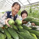 웰빙식품 이미지