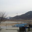 용댕이매운탕 이미지