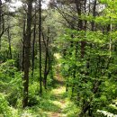 감투봉(540m 정읍 산내면) 이미지