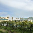 블룸호텔 | 제주도 중문호텔 블룸호텔 수영장 내돈내산 방문후기