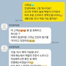 우진떡집 - 수원시 장안구 덕영대로381번길 72 | 안양 돌떡·생일떡 내돈내산 후기｜5년째 매년 주문하는 떡집
