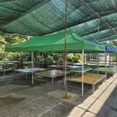 서동민박 이미지