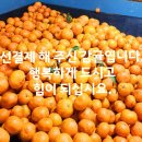 유기농감귤 나눔합니다. 이미지