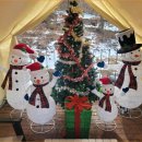 패밀리키즈풀 이미지