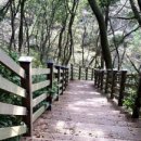 산과바다민박 이미지