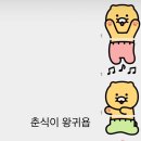 세상이 환하게 보여