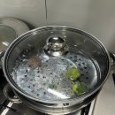 대명세탁소 | 25.10. 배밀이를 시작한 6개월 감자