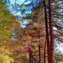 금동산야 이미지