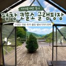 대창세탁소 | [평창 가볼만한 곳] 코뿔소글램핑 아기토끼방 아이랑 가기 좋고 별보기 좋은 평창 글램핑장 | 수영장...