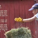 종식목장 이미지