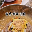 신봉평메밀 네이버블로그