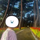 석불산 | [블챌]주말엔 석불산/영화 얼굴/짬뽕지존 4단계 도전