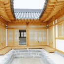 부여애견 이미지