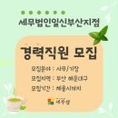세무회계_일신
