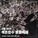 호수 | 석촌호수, 송파구 호수 벚꽃축제 다녀온 후기