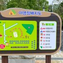 잣나무집 티스토리