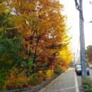 행파 - 광산구 선운중앙로 43 | 행파