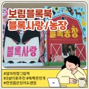 보림농장 | 보림 블록북 돌부터 쭉 대박난 내돈내산 후기 [블록 사랑/ 블록 농장]