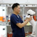 닥터k동물병원 이미지