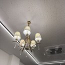 이정훈 강아지 하남본점 이미지