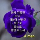 (주)시와사람 네이버블로그