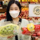 서울파머 이미지