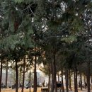 뚝섬한강공원-4 | 뚝섬한강공원 러닝 후기 : 애플워치 존2 심박수 설정 방법과 2주간 3번의 달리기 기록